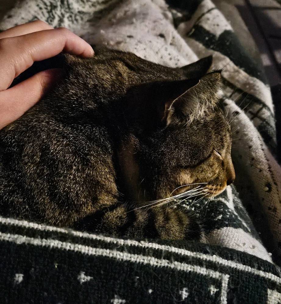 The sweet clingy cuddles