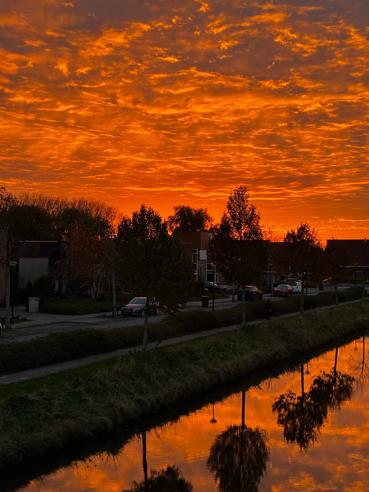 My bedroom view this morning