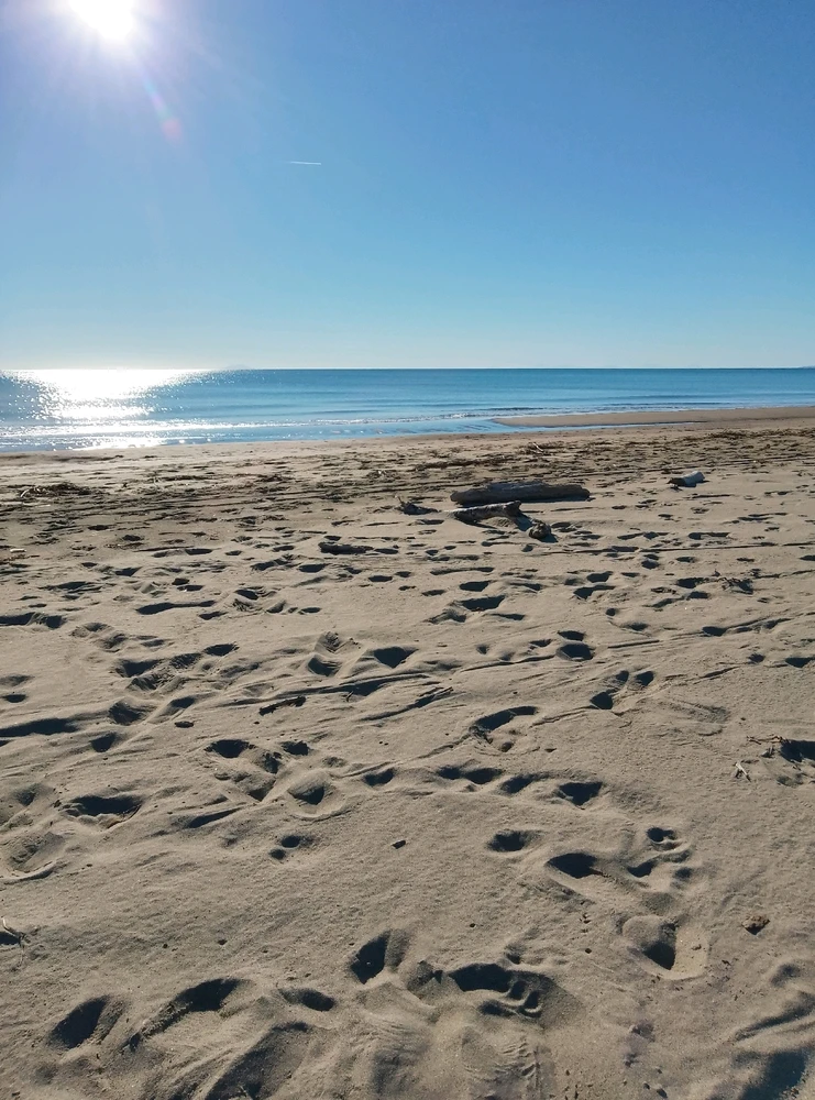 GIF caricata da Dario