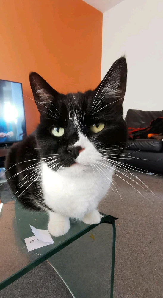 GIF ꨄ𝐃ꨄ tarapyndan ýüklenen