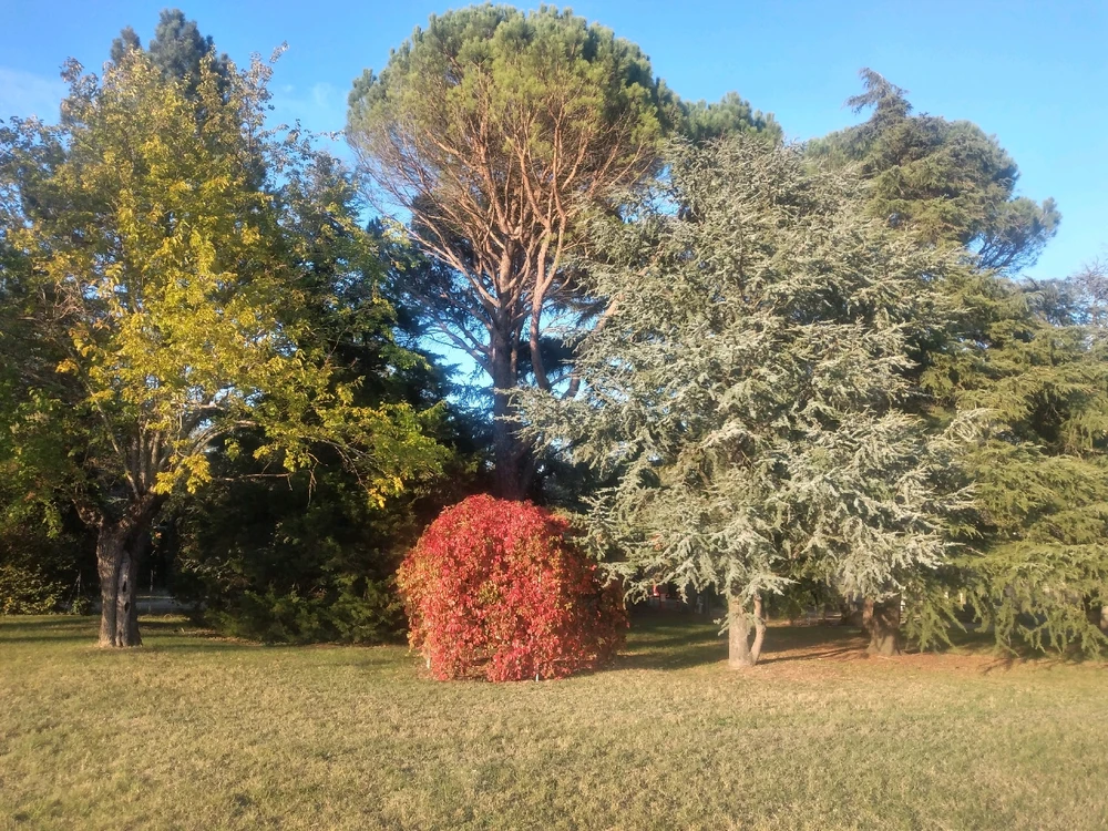 Immagine caricata da Filippo