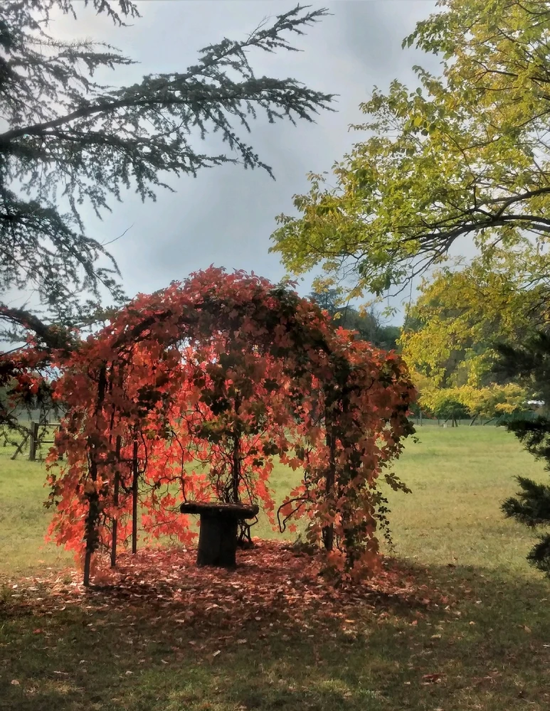 Immagine caricata da Filippo