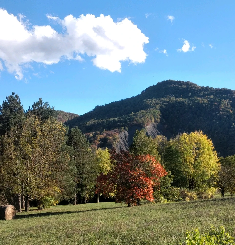 Immagine caricata da Filippo