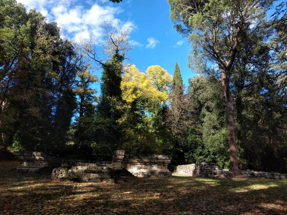 Immagine caricata da Filippo