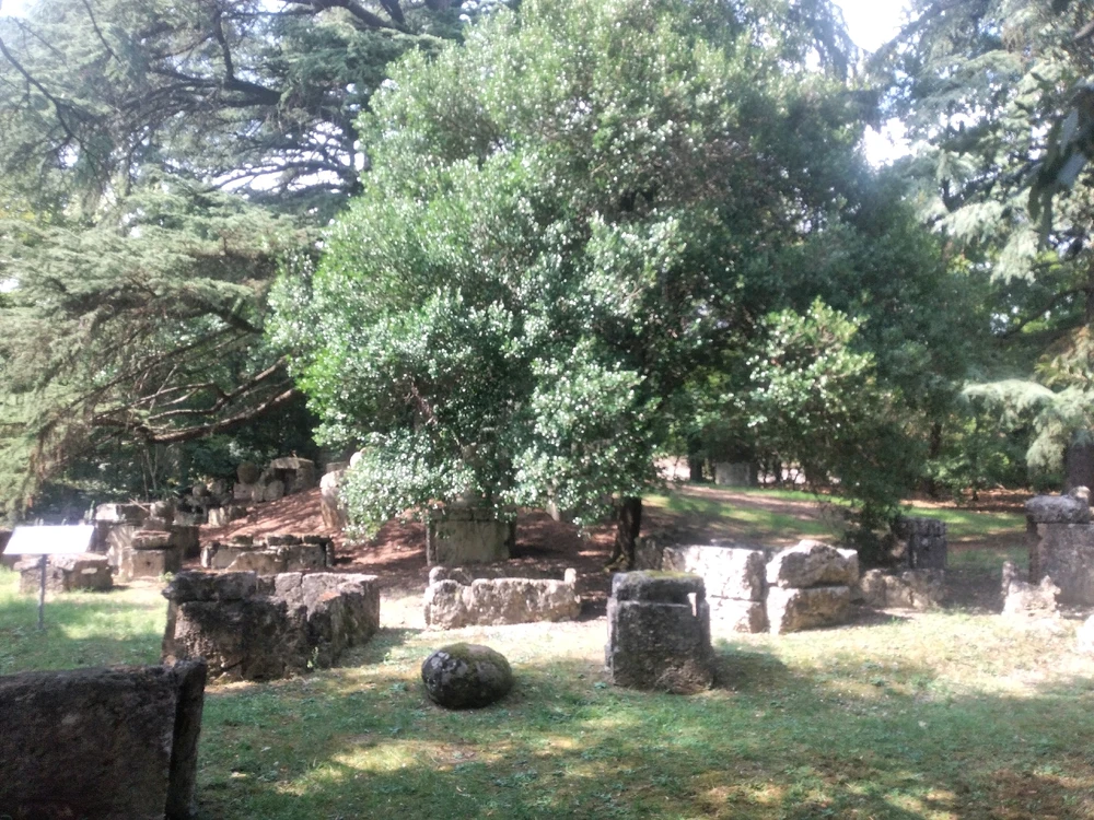 Immagine caricata da Filippo