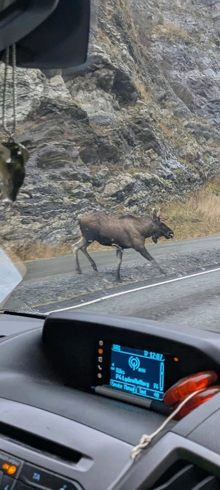 GIF uploaded by Eivind