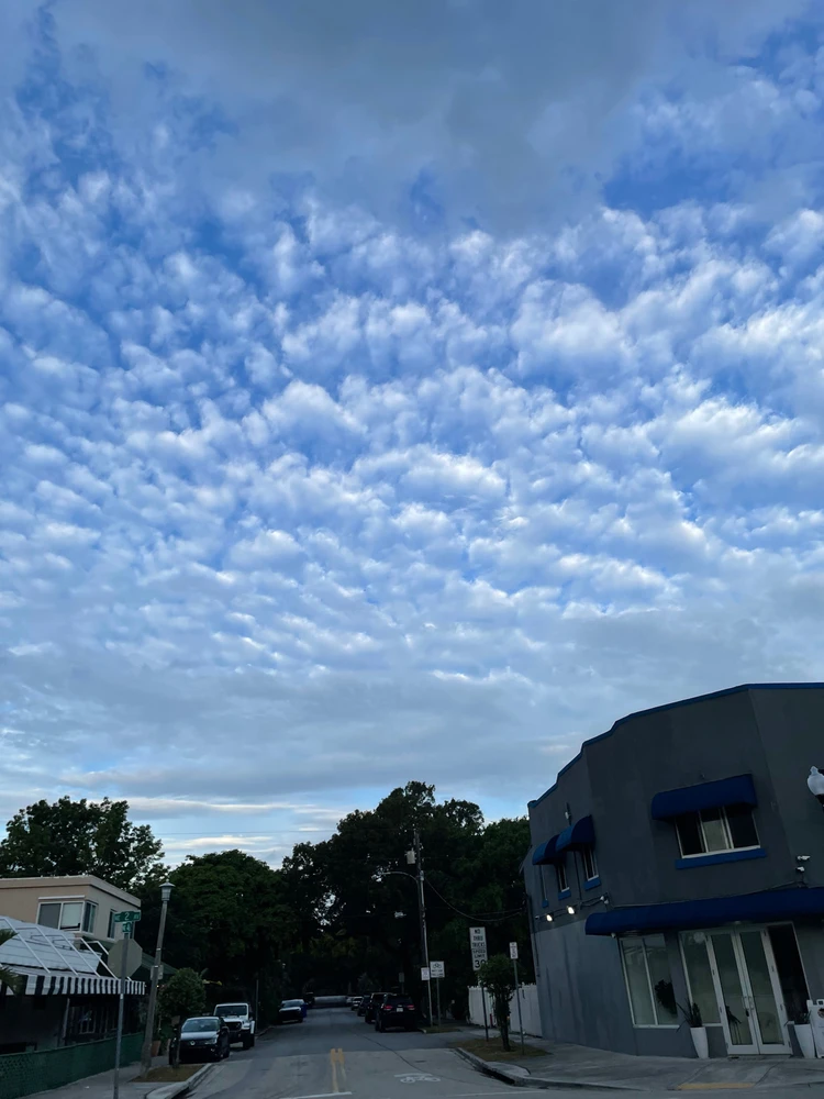 GIF uploaded by samuel