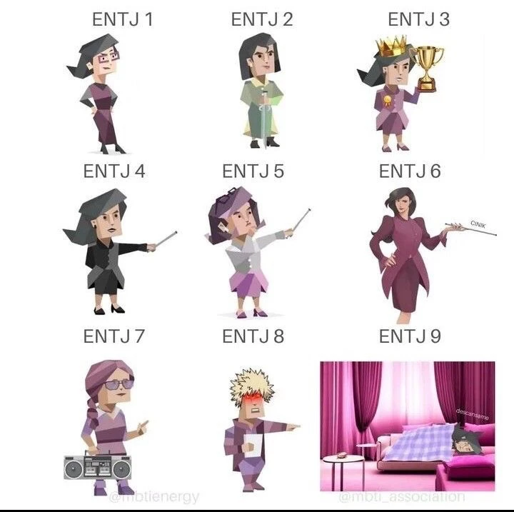 What do you like and dislike about being an ENTJ?