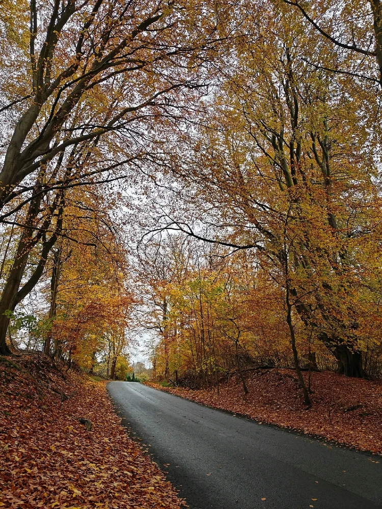 Autumn in Denmark