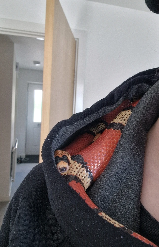 GIF uploaded by Richard