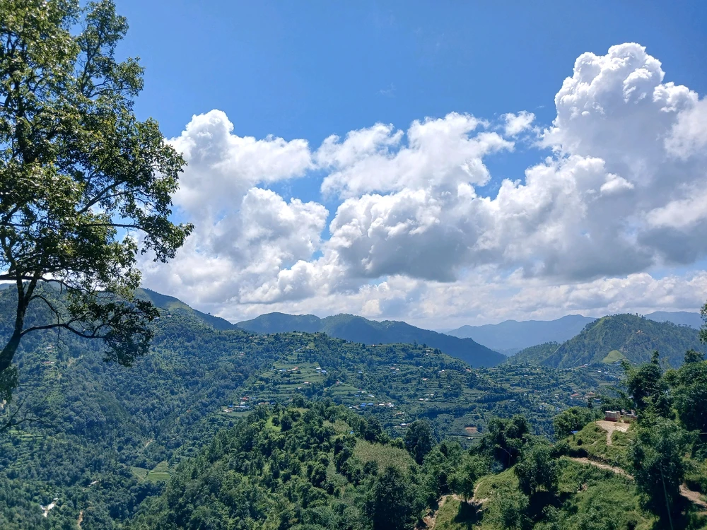 Image uploaded by Aayusha