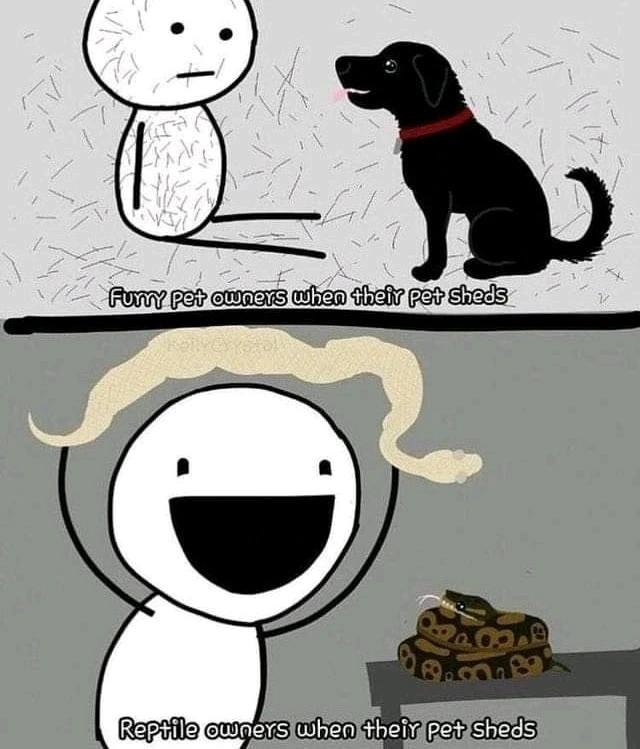 GIF uploaded by Donna