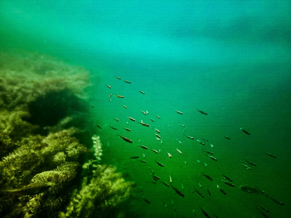 Zdjęcie dodane przez Jarek
