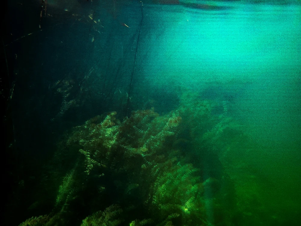 Zdjęcie dodane przez Jarek