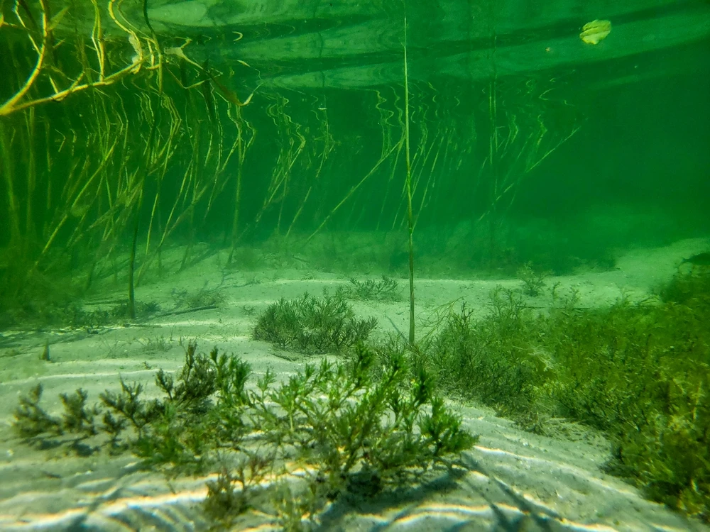 Zdjęcie dodane przez Jarek