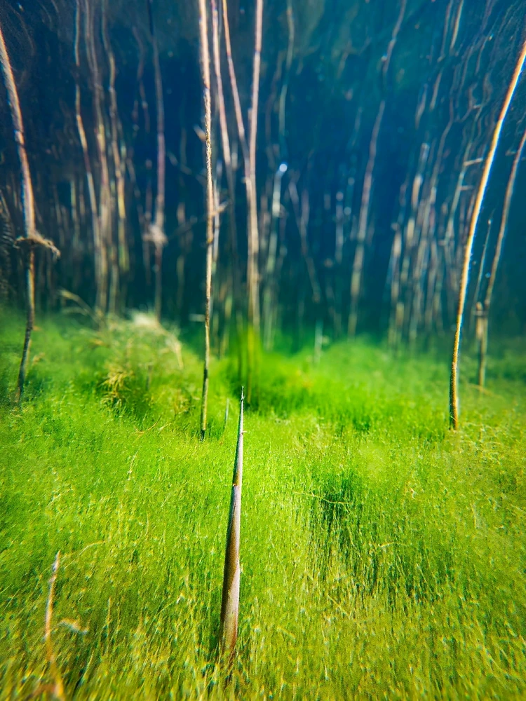Zdjęcie dodane przez Jarek