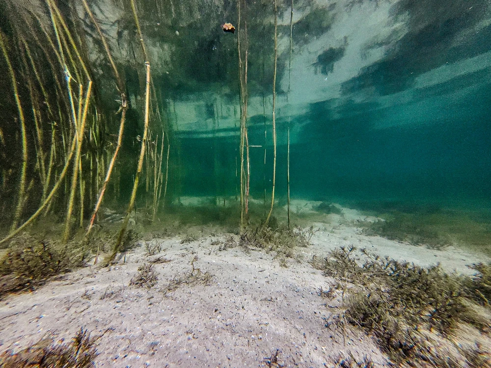 Zdjęcie dodane przez Jarek