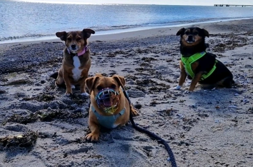 Zwischen Pixeln und Stille