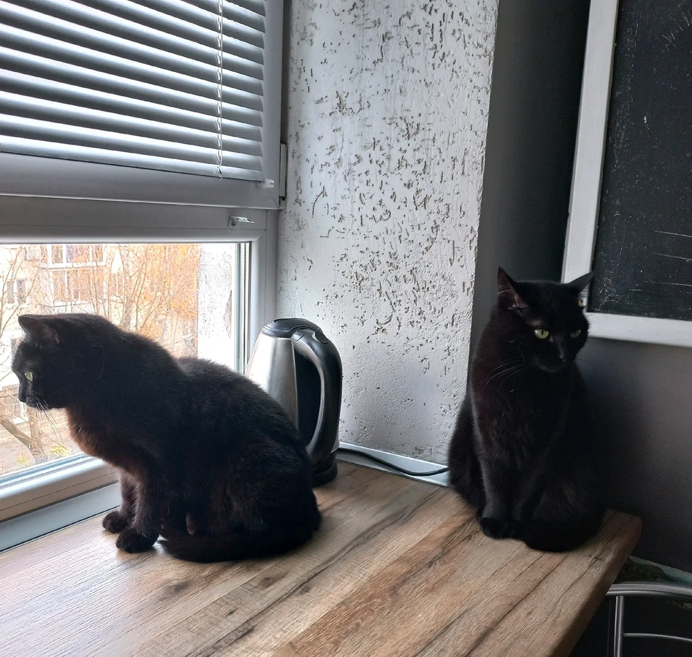 Double darkness 😊