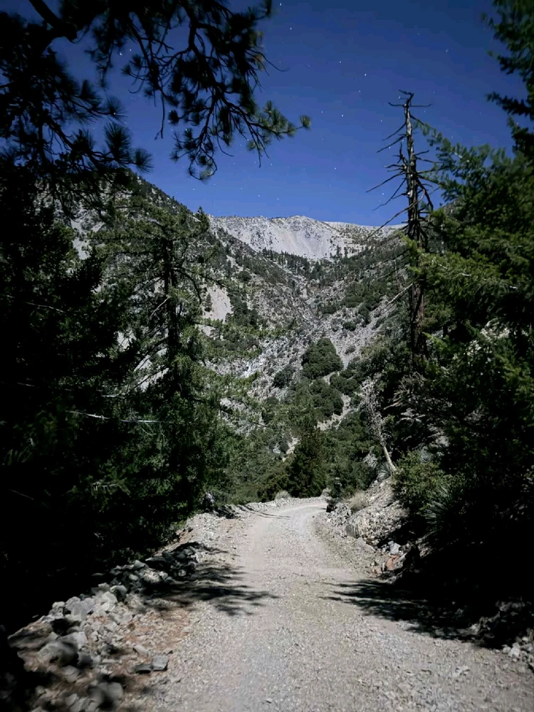 Image uploaded by Conlan