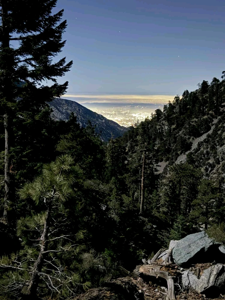 Image uploaded by Conlan