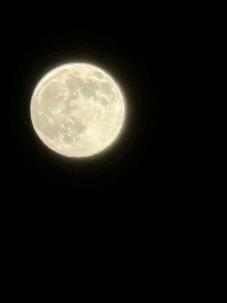 Image uploaded by Conlan