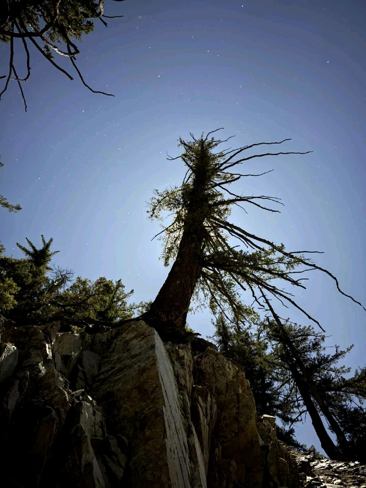 Image uploaded by Conlan