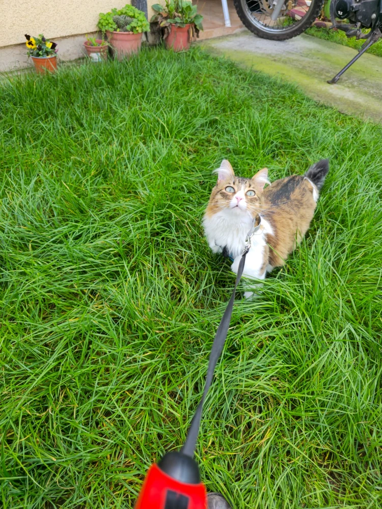 Imagen subida por Rodrigo