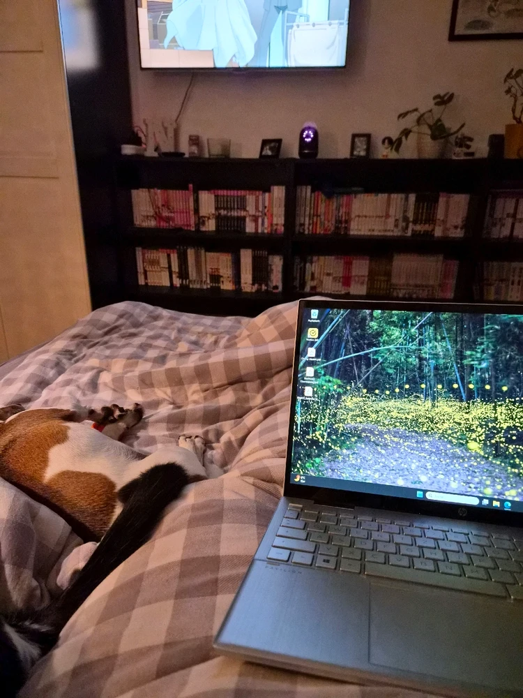 GIF hochgeladen von Nic