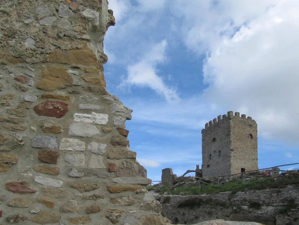 GIF caricata da Shinrin