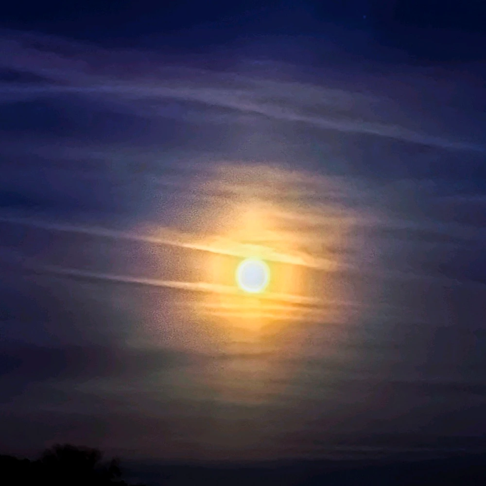 Bild hochgeladen von Maxi