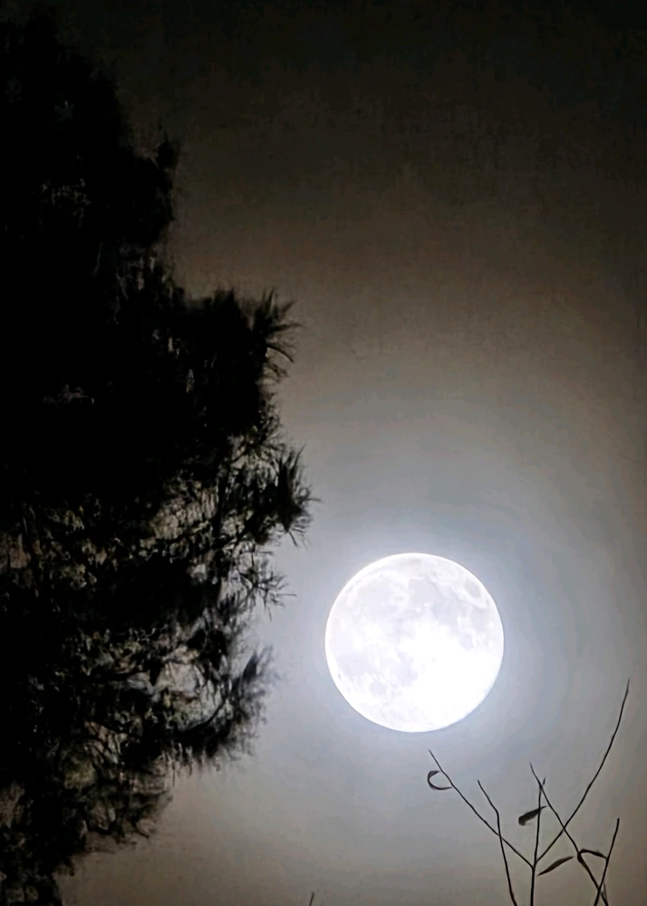 Облачная луна 🌙 🌕