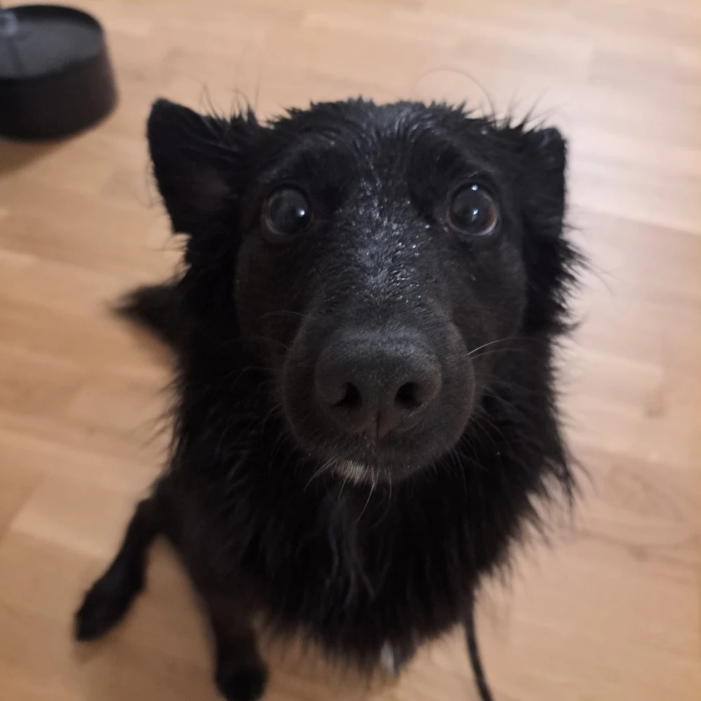 GIF uploaded by Alex