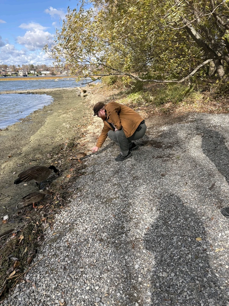 Image uploaded by Peter