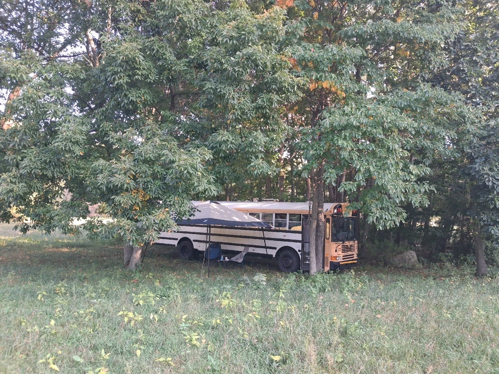 The skoolie's first camping trip