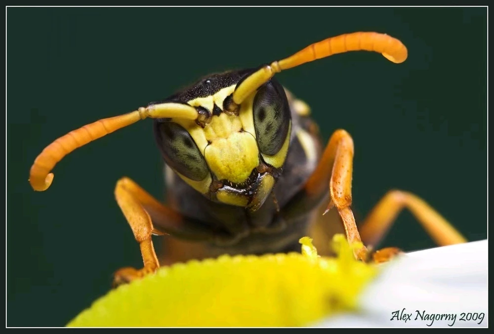 GIF uploaded by Alex