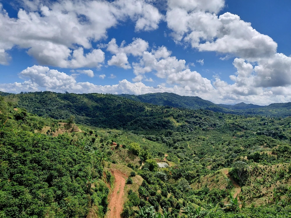 GIF subido por Daneris