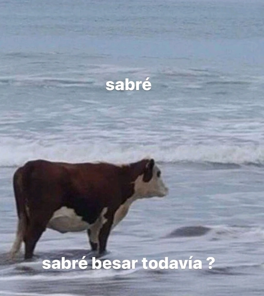 Chingao 😔 Jajajajaja