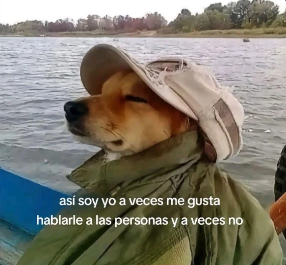 IMAGEN que define a todos los de esta app (incluyendome)