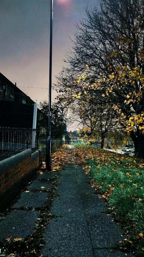 GIF geüpload door Zain Ali