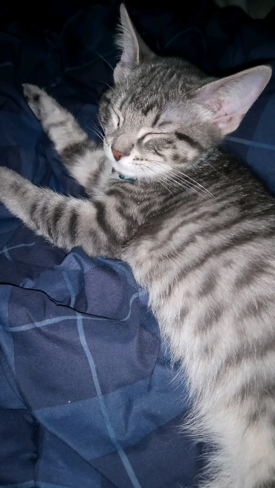 GIF uploaded by Kevin