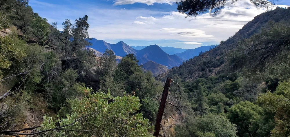Image uploaded by Conlan