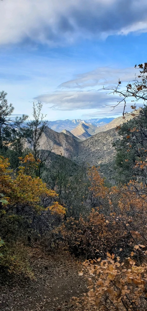 Image uploaded by Conlan