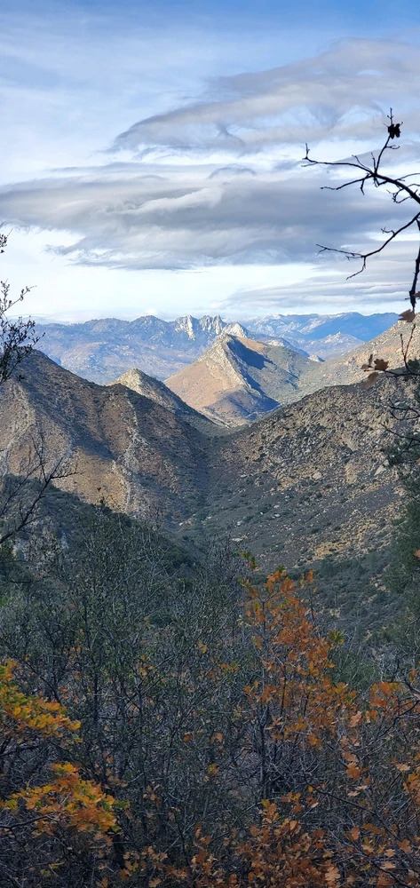 Image uploaded by Conlan