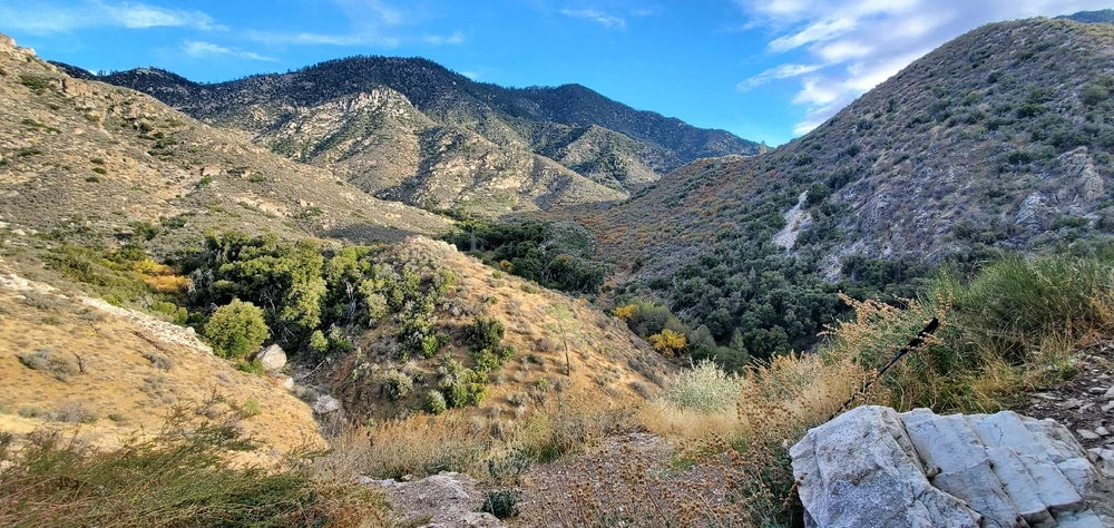 Image uploaded by Conlan
