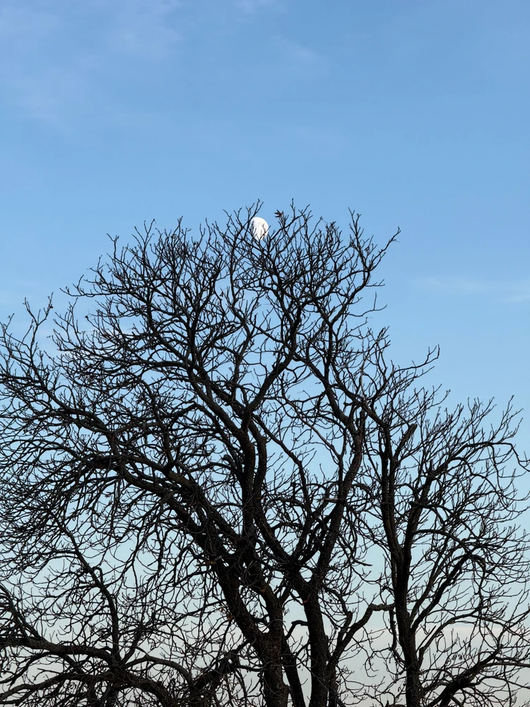 Fotku nahral/-a Martin