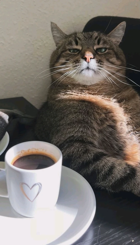 Gorkem tarafından yüklenen GIF