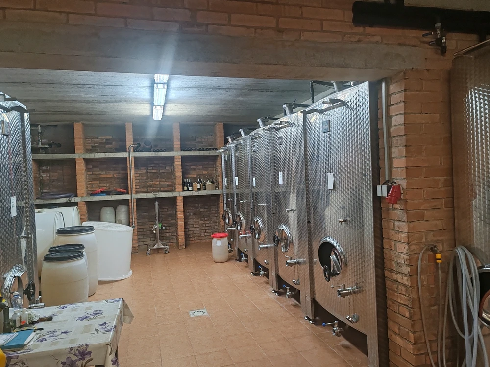 Obrázek nahrál Toñas