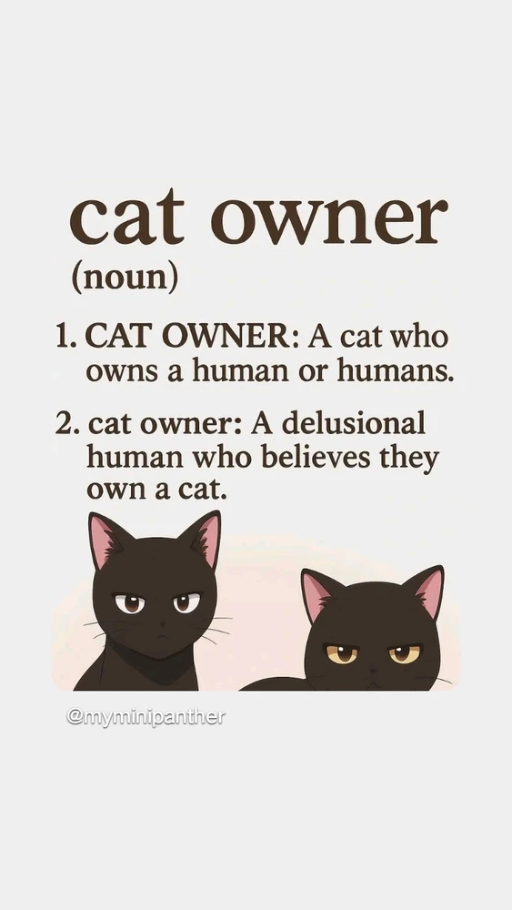 I am their fur mom π»πΉ