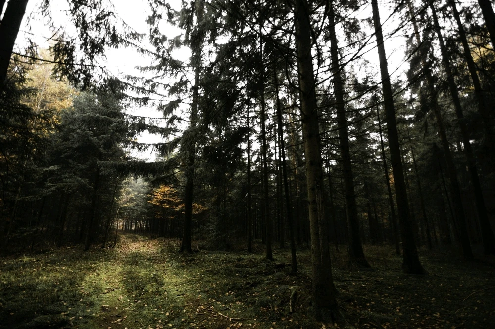 Bild hochgeladen von Goran